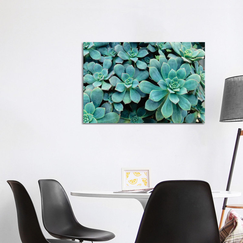 Close-Up Of Plants, Buffalo And Erie County Botanical Gardens, South Park, Buffalo, New York, USA - Wrapped Canvas Print
