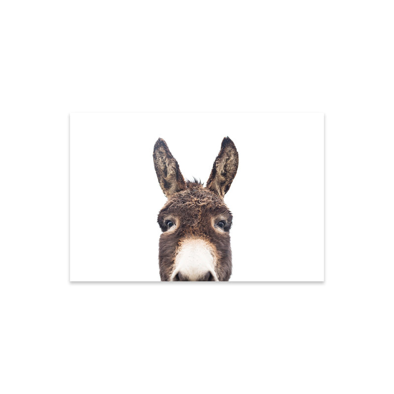 «Peeking Donkey» par Sissi & Seb - impression sans cadre, H 16 po x l 24 po x P 0,25 po