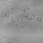 Panneau Zalina-487611115-487611116