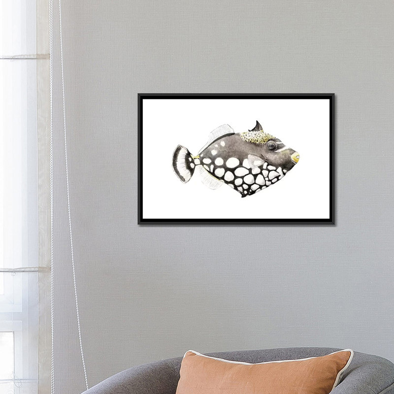 « tropical matin triggerfish », impression sur toile tendue, H 18 po x l 26 po x P 1,5 po, Toile avec cadre noir