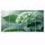 Ensemble de décorations murales hortensia tropicale-1590531498