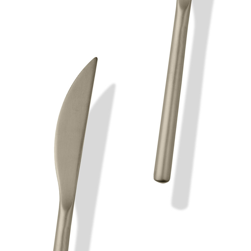 Due 20 - Piece Stainless Steel Flatware Set - Service for 4, Ice Champagne