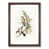 Walnut Framed selected