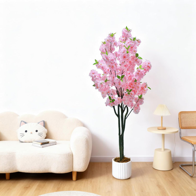 150cm Plant