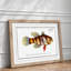 Great-Scaled Umber Fish by M.E. Bloch - Framed Print-55575259-55575260