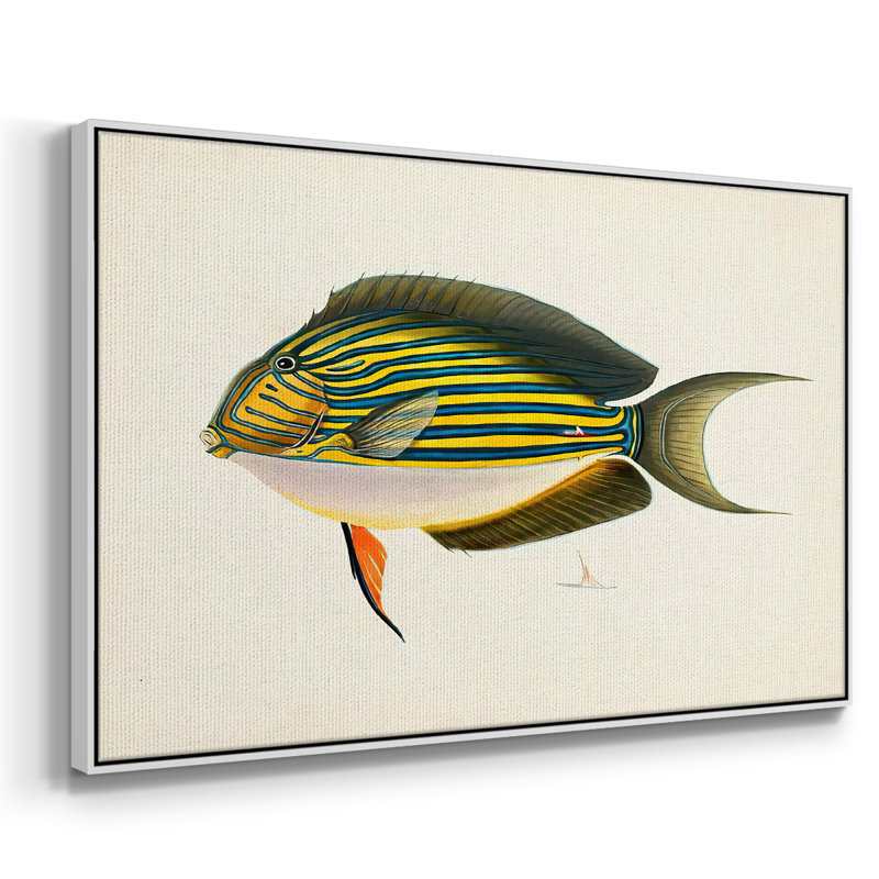 «Tropical Fish Collection I», reproduction sur toile, H 27 po x l 41 po x P 2 po, Cadre blanc