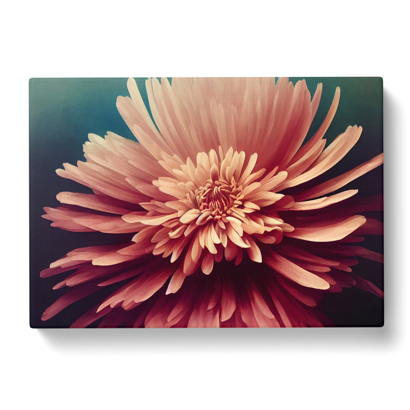 Bold Chrysanthemum Flower - Wrapped Canvas Painting, 35cm H x 50cm W x 3cm D