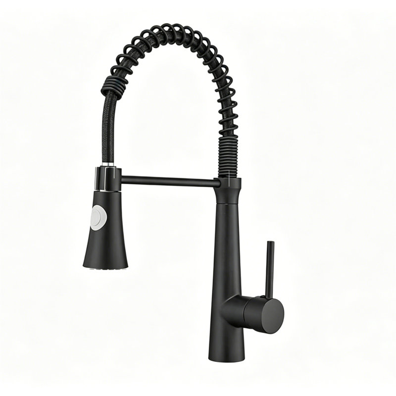 Single Handle High Arc Pull Out Sprayer Kitchen Faucet, Black