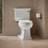 Memoirs Stately Comfort Height 1.28 GPF Elongated Two-Piece Toilet-10978253-65045842