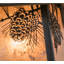 1 - Light Pendant-30775112