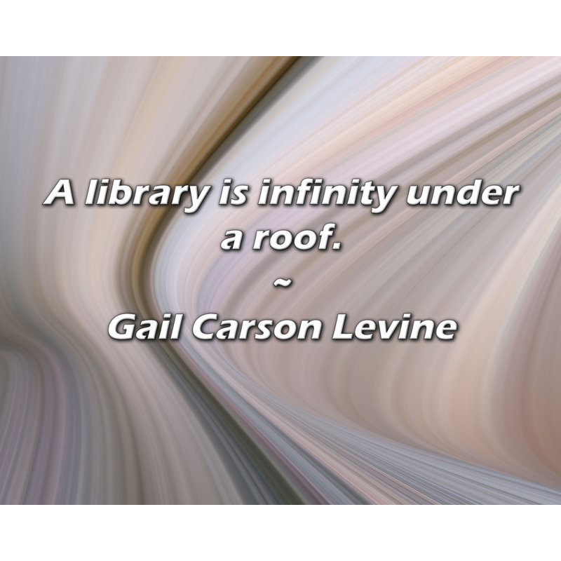Citation de Gail Carson Levine: Une bibliothèque, c'est l'infini sous un toit., H 20 po x l 24 po