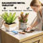 Outdoor Storage Cabinet