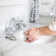 Rainier Widespread Bathroom Faucet with Drain Assembly