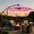 Rose est en rupture de stock