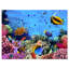 «Coral Colony on Reef Égypte», impression-34275649-34275623
