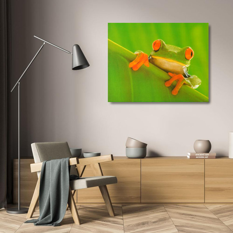 Red Eyed Frog, 19" H x 24" W