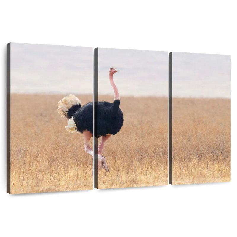 Striding Male Ostrich, 32" H x 50" W