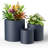 Centonze 3-Piece Pot Planter Set-1268852633