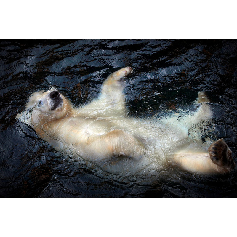 Wrapped Canvas Print, 81.28cm H x 121.92cm W