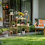 Carelle Plant Stand