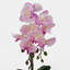 50cm Faux Plant in Pot Liner-101685139