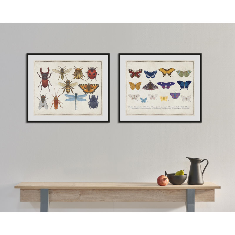 Butterfly - Single Picture Frame Print, 60 cm H x 50 cm W