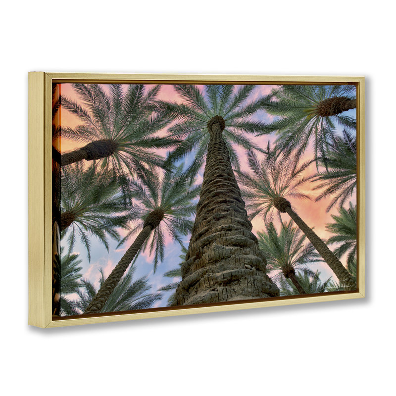 «Tall Overhead Palms», toile flottante encadrée par Dennis Frates, Cadre flottant métallique doré, H 21 po x l 31 po