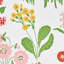 Carly Fabric-49817658