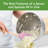 Tovolo Flex-Core Silicone Spoonula with Natural Wood Handle for Cooking and Baking, Pink Sorbet