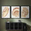 «Vintage Shell Vignette I», impression encadrée sur mesure de qualité supérieure mate - 3 pièces-2126711607-2126711601