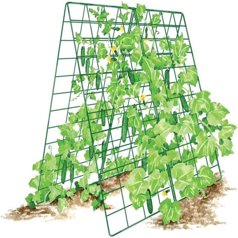 Treillis de jardin pour plantes grimpantes, structure en forme de treillis de jardin en A