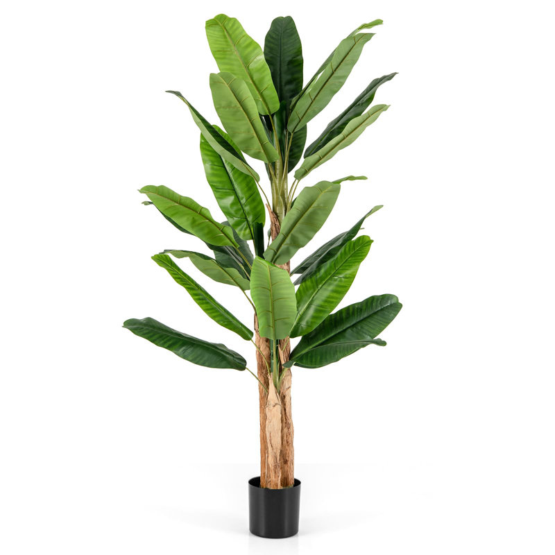 195cm Plant