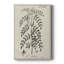Toile tendue avec châssis de qualité botanique antique noir et blanc - prêt à accrocher-362867107