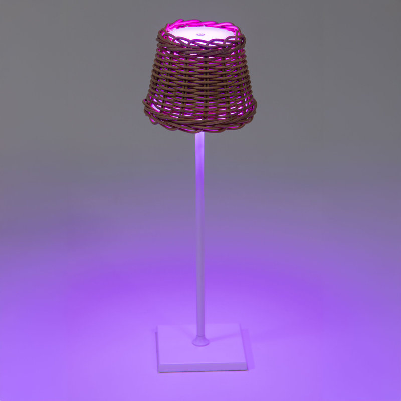 Lampe de table intérieure / extérieure à DEL en osier toutes saisons, abat-jour empire, base blanche