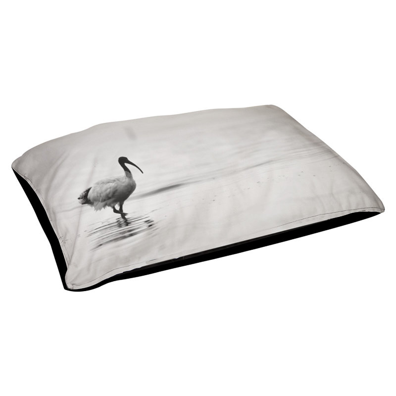 Coussin de concepteur ibis Burien, L 42 po x l 52 po, Noir