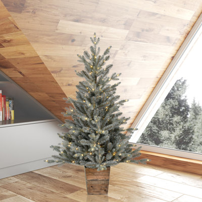 4' Lighted Pine Christmas Tree