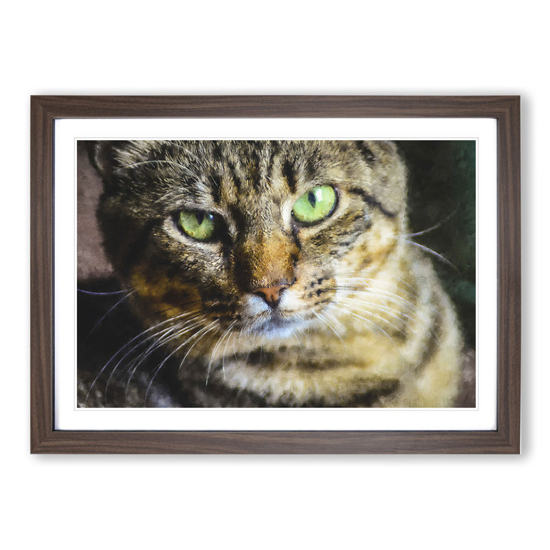 Portrait of a Cat Vol.6 - Framed Print, 27cm H x 36cm W x 2cm D, Walnut Framed