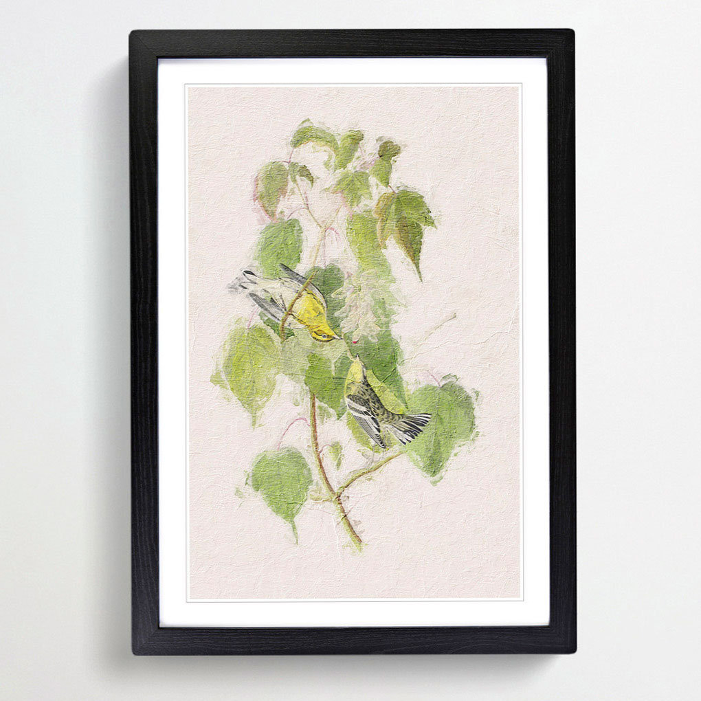 Hemlock Warbler by John Audubon - Picture Frame Painting Print