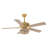 La Mott 52'' Ceiling Fan with Light Kit