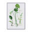 «Windowsill Garden» par Cloverfield & Co., reproduction d'art-1016100268-1016100242-1016100245