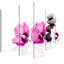 Ensemble de 5 impressions sur toile tendue-796777606-796777607
