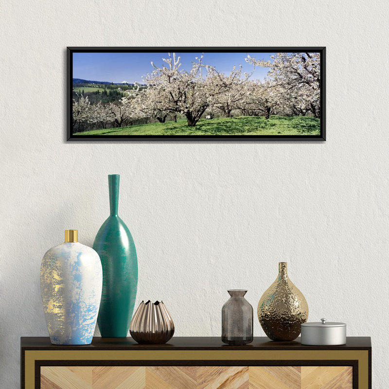 Fleurs de cerisier en fleurs, columbia river gorge, oregon, états-unis-reproduction de photo sur toile tendue