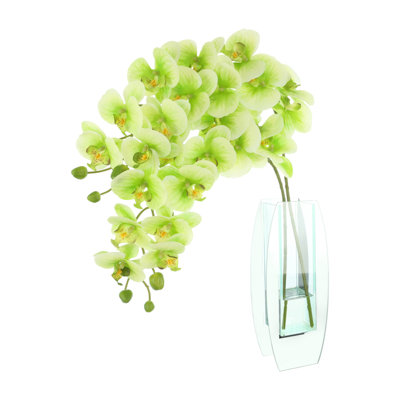 Tania Orchids Arranged in a Glass Vase