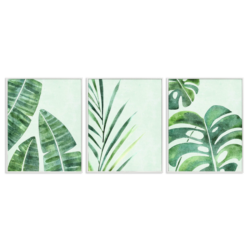 Variété de feuilles de plantes variées, ensemble de 3 giclées encadrées, design par Camila Juncos, H 20 po x l 16 po