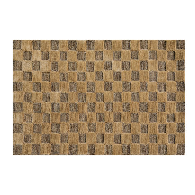 Coco Checkerboard 2'3" X 3'9" Rug