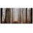 " A Road Through The Misty Brown Autumn Fall Forest Trees "-96384597-96384605