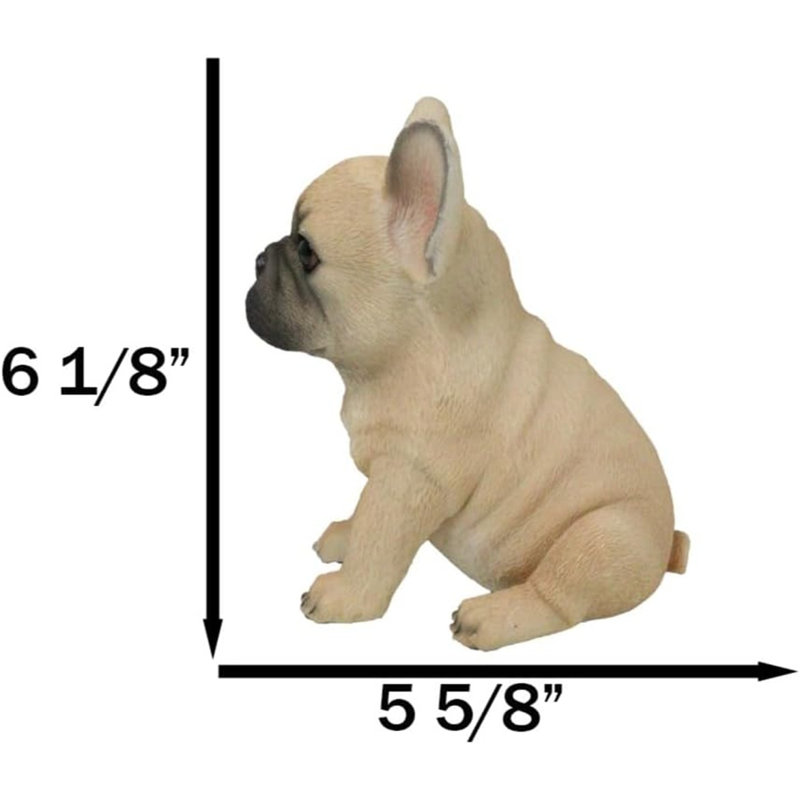 Realistic Adorable Fawn French Bulldog Puppy 6"H Cute Frenchie Dog Figurine