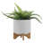 Kaiyro Ceramic Pot Planter-1939276063