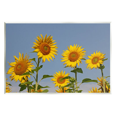 Art de la giclée sur le champ de tournesol par Lil 'Rue