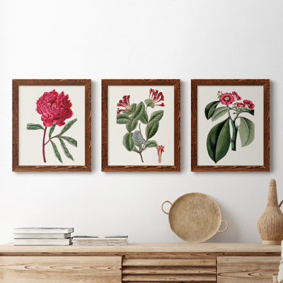 Ensemble de 3 peintures sur toile Roseat Blooms IV